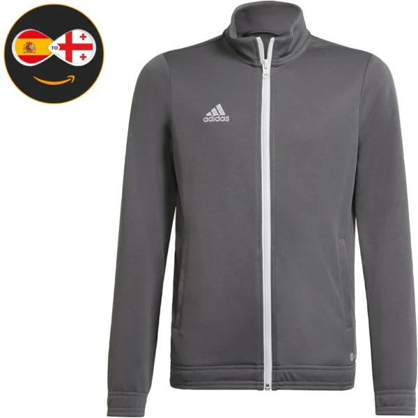 Adidas Entrada 22 (Grey)