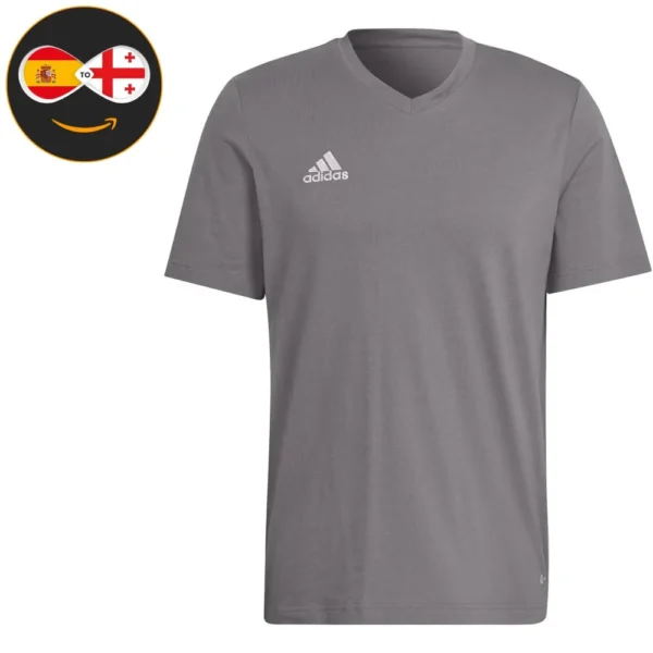 Adidas T-Shirt V (Grey)